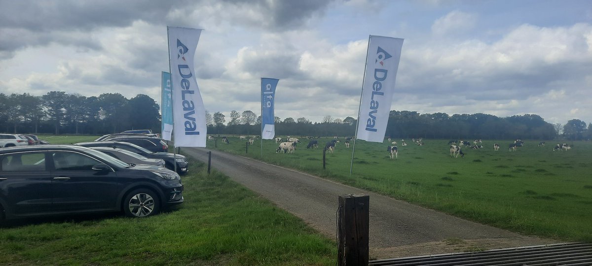 GerlantZ's tweet image. Robots vs een carrousel melkstal vandaag. Twee bedrijven, allebei #procross koeien. Toch een duidelijk verschil.