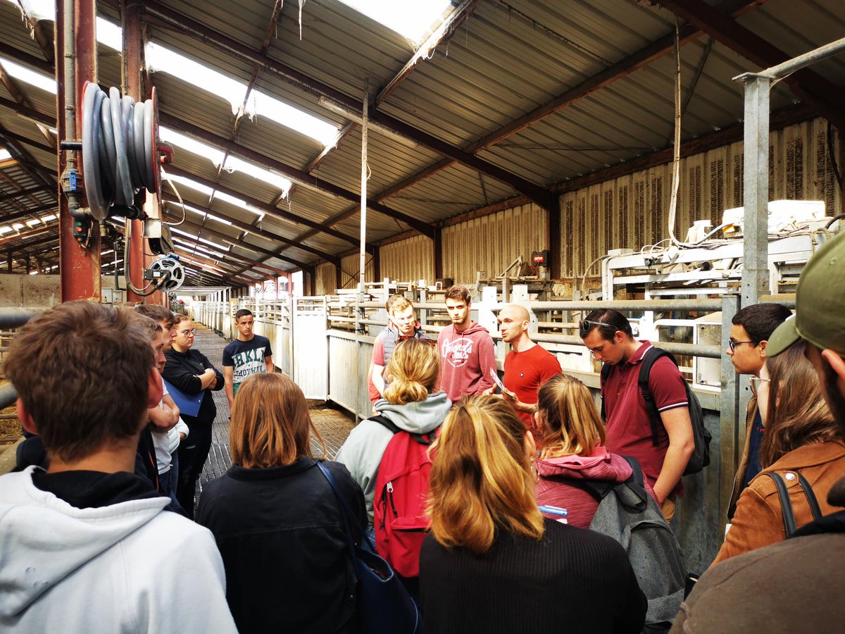 INTERBEV Normandie tweet media