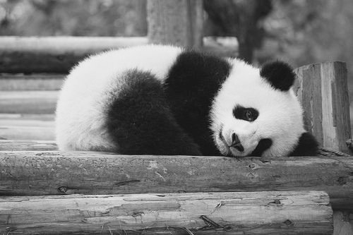 twtbullshid's tweet photo. To be honest, my sleep isn't sleep anymore it’s an escape. https://t.co/keNncDsXM5