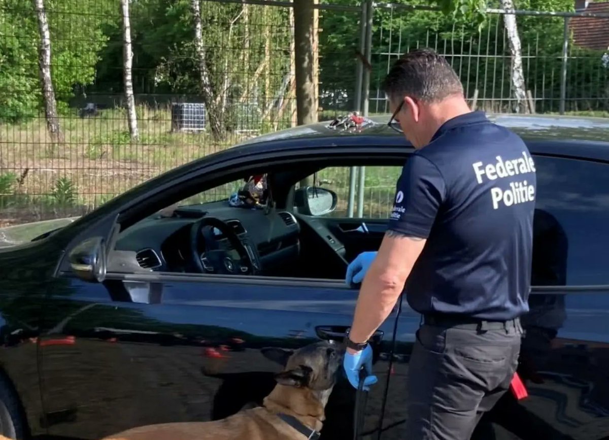 PZBrasschaat's tweet photo. Op 12/5/22 organiseerde onze politiezone een gerechtelijke controleactie met verschillende partners in de veiligheidsketen. Opmerkelijk hierbij is de samenwerking met de collegaβs van de Nederlandse politie-eenheid Zeeland-West-Brabant.
Alle info β¬οΈ
https://t.co/aTpo4irSU1 https://t.co/TLQX93X7h3