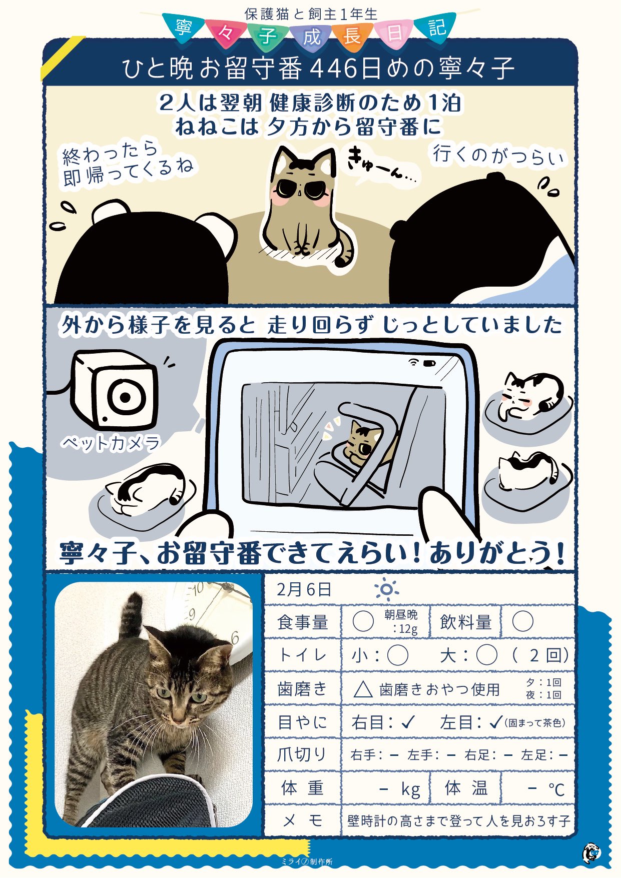 未来 猫と教育とアプリと ひと晩お留守番446日めの寧々子 猫 漫画 猫漫画 T Co I3hz1djnmv Twitter