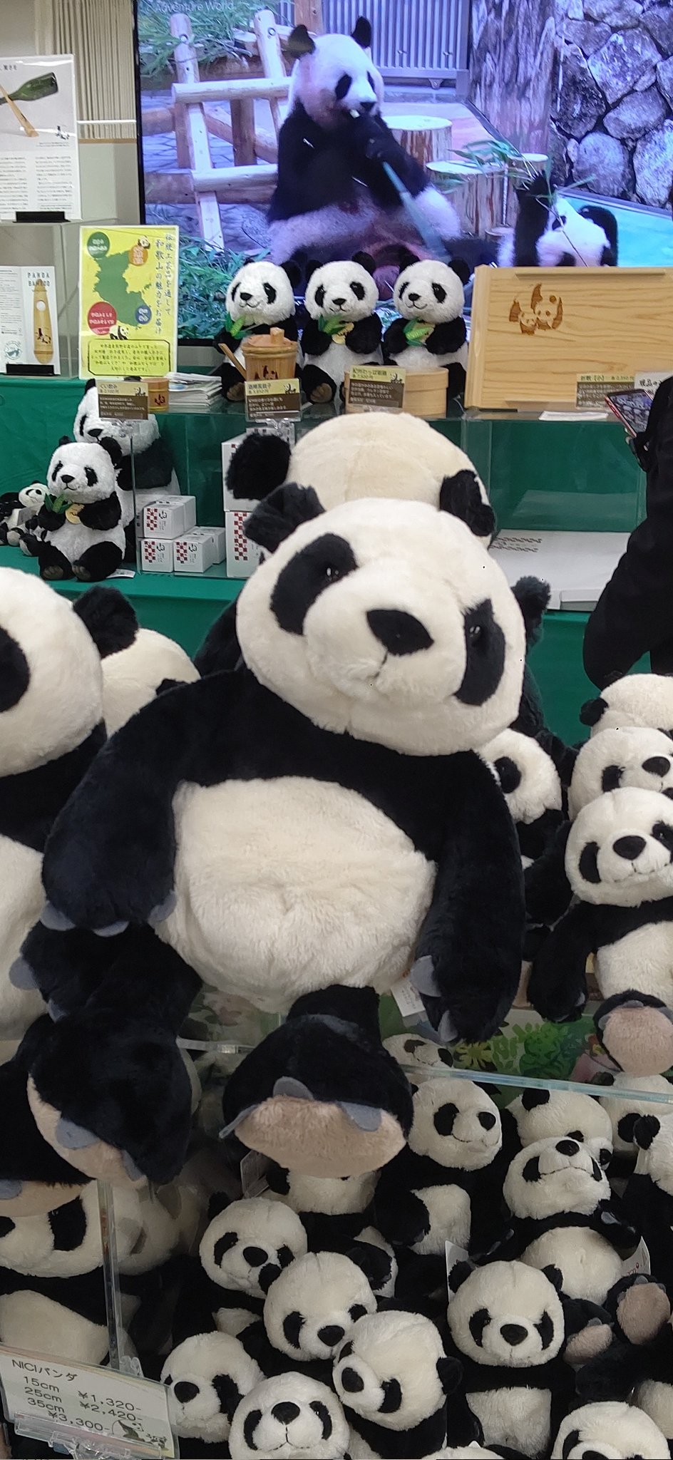 池山由香 パンダファンから噂を聞き 学校帰りに京王百貨店新宿店7階の三重 和歌山 愛知 物産と観光展へ アドベンチャーワールドとniciのコラボぬいぐるみや 永明達が食べ残した竹で作られたピアス等欲しい物ばかりでしたが ピアスの穴はあいてないし