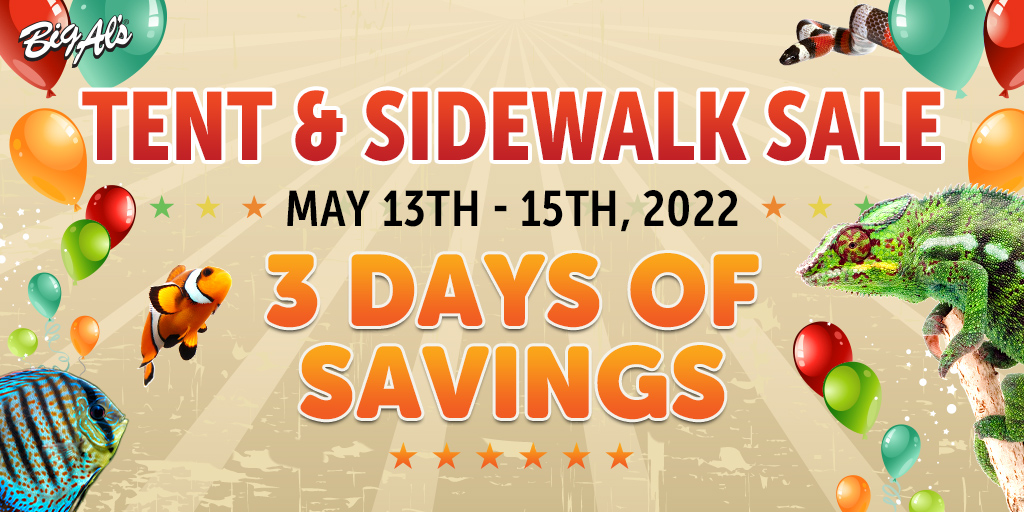 Big Al's Pets tweet media