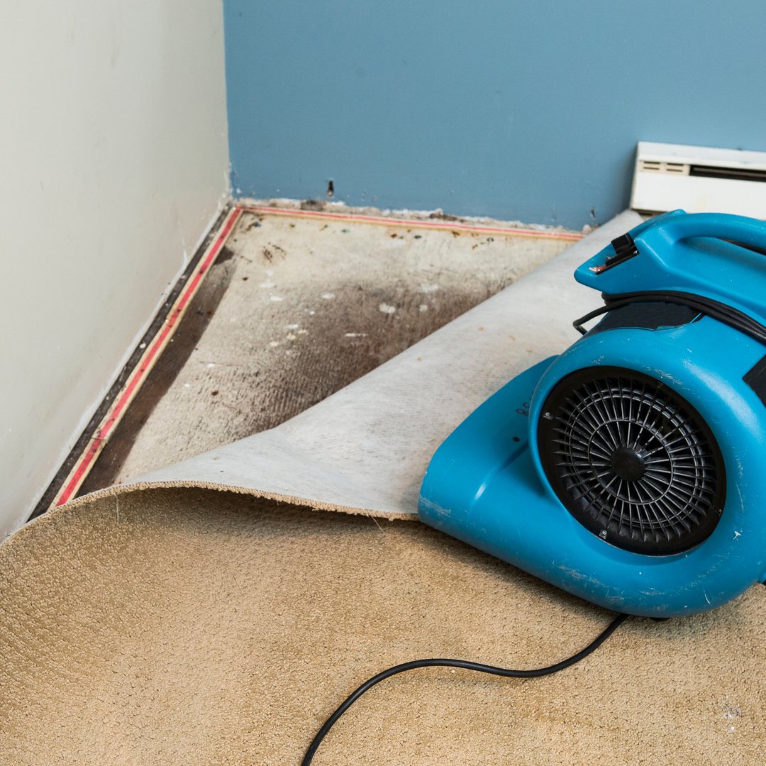 When you have water damage, don't try to clean it yourself!  From the minute we receive your call, our licensed and certified professionals will work compassionately, professionally, and quickly to contain the water, and then minimize the damage.

📞 401-834-FIRE (3473)