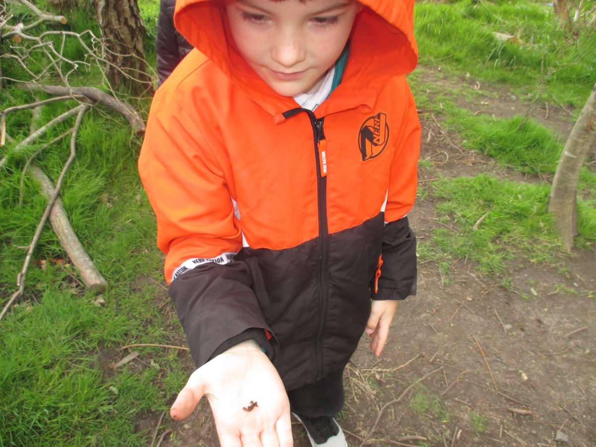 Lochside Primary tweet media