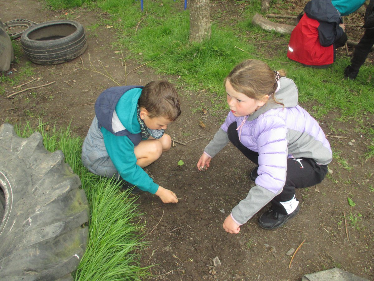 Lochside Primary tweet media