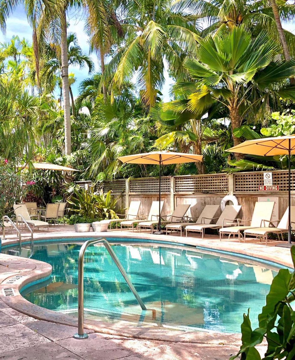 MarquesaHotel's tweet photo. Happy Friday! You could be spending it here!
https://t.co/gd7trgVdnz
#MarquesaTime #MarquesaKW #KeyWest https://t.co/PK0Y0jTXVA
