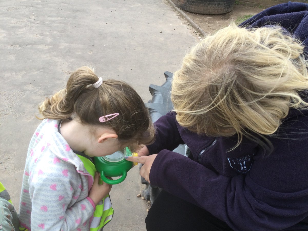 OurLadysELCC's tweet photo. The children were excited to find caterpillars, ladybirds and snails in the garden this afternoon. They spent some time looking through magnifying glasses and building homes for them โto stay safe from the very big wind.โ #natureisfun #exploring https://t.co/N8bGXStPYz