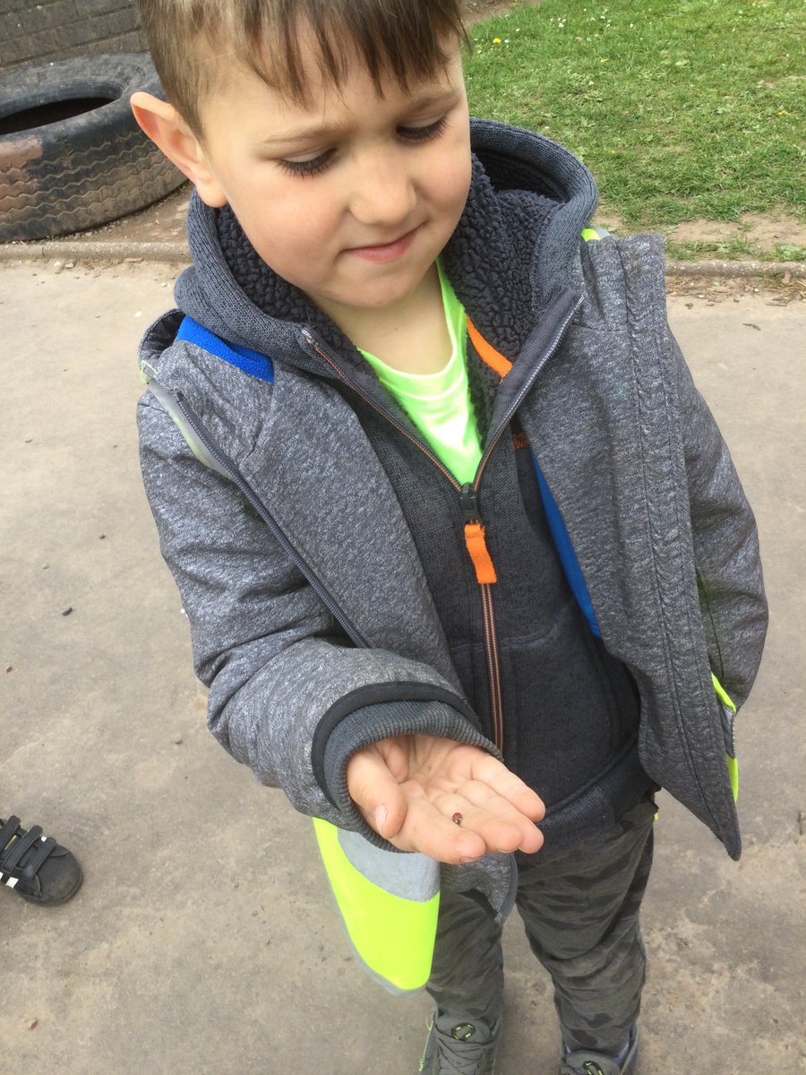 OurLadysELCC's tweet photo. The children were excited to find caterpillars, ladybirds and snails in the garden this afternoon. They spent some time looking through magnifying glasses and building homes for them โto stay safe from the very big wind.โ #natureisfun #exploring https://t.co/N8bGXStPYz