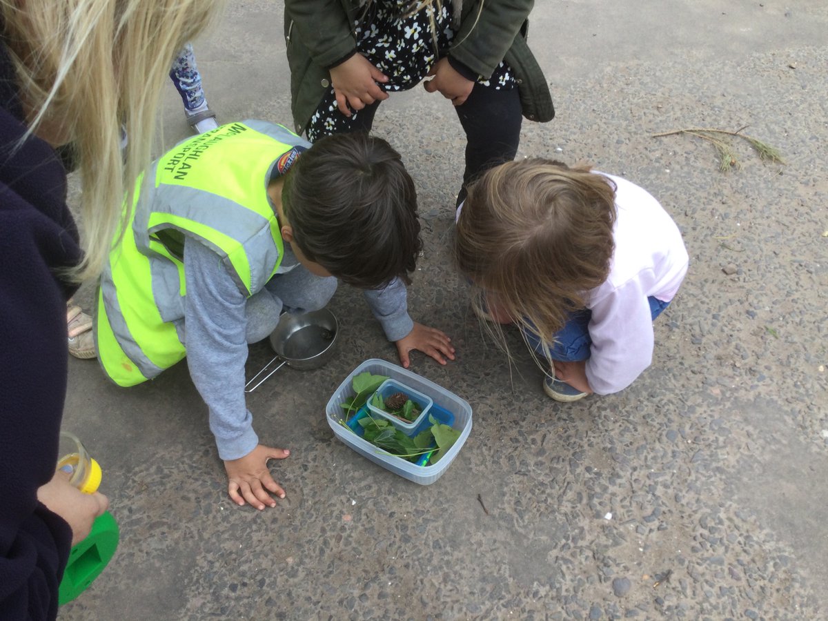 OurLadysELCC's tweet photo. The children were excited to find caterpillars, ladybirds and snails in the garden this afternoon. They spent some time looking through magnifying glasses and building homes for them โto stay safe from the very big wind.โ #natureisfun #exploring https://t.co/N8bGXStPYz