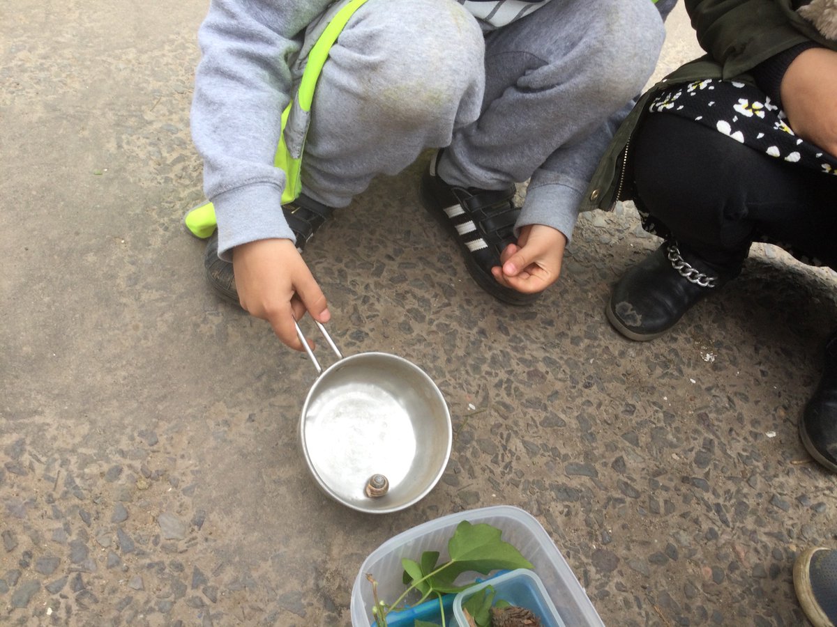 OurLadysELCC's tweet photo. The children were excited to find caterpillars, ladybirds and snails in the garden this afternoon. They spent some time looking through magnifying glasses and building homes for them โto stay safe from the very big wind.โ #natureisfun #exploring https://t.co/N8bGXStPYz