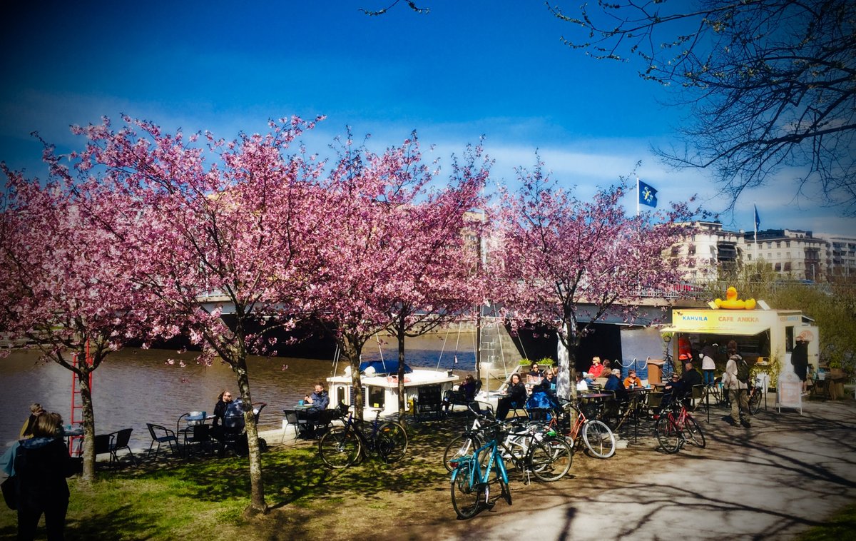 OlliSulin's tweet photo. Turku, Aurajoki, kevät, kukkivat kirsikkapuut ja se Suomen paras munkki@Café Ankka. @turunkaupunki @VisitTurku #Aurajoki #kirsikkapuut #cafeankka https://t.co/ojZuvGfgGu