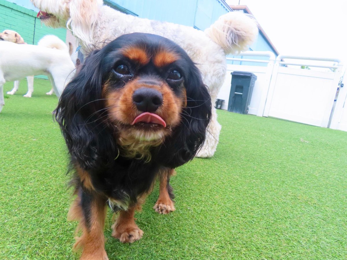 Needed to share my adorable child with every social media platform 🥰