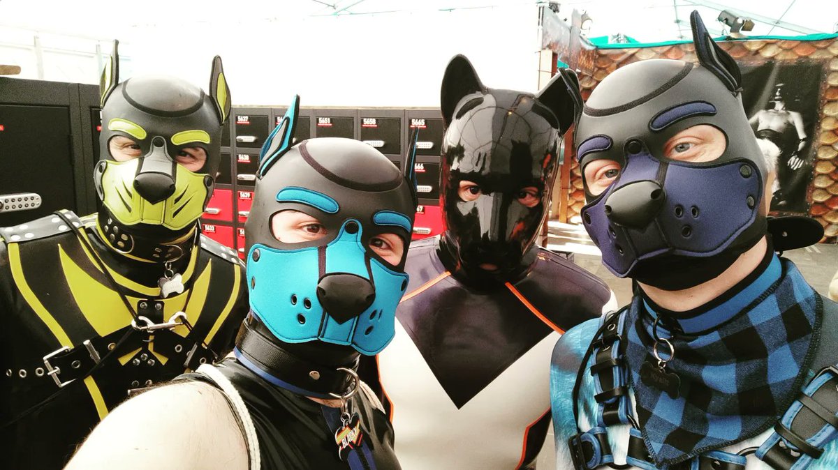 _Horiku's tweet photo. 🐾🖤 https://t.co/ac76GtWq3W