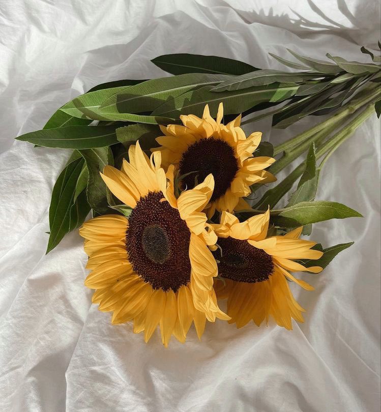 sunflower bouquets🫶🏼