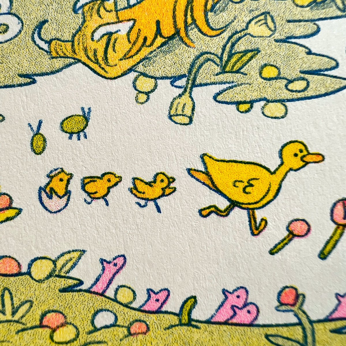 natAndrewson's tweet photo. Baby ducks!! >:O https://t.co/osi1EnjBVd