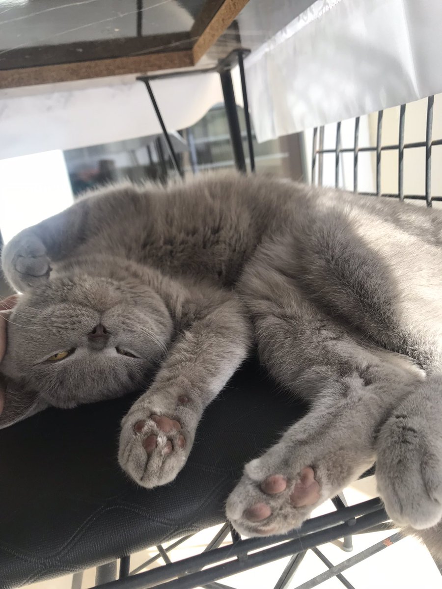 böğün yaş mamik vay mı????