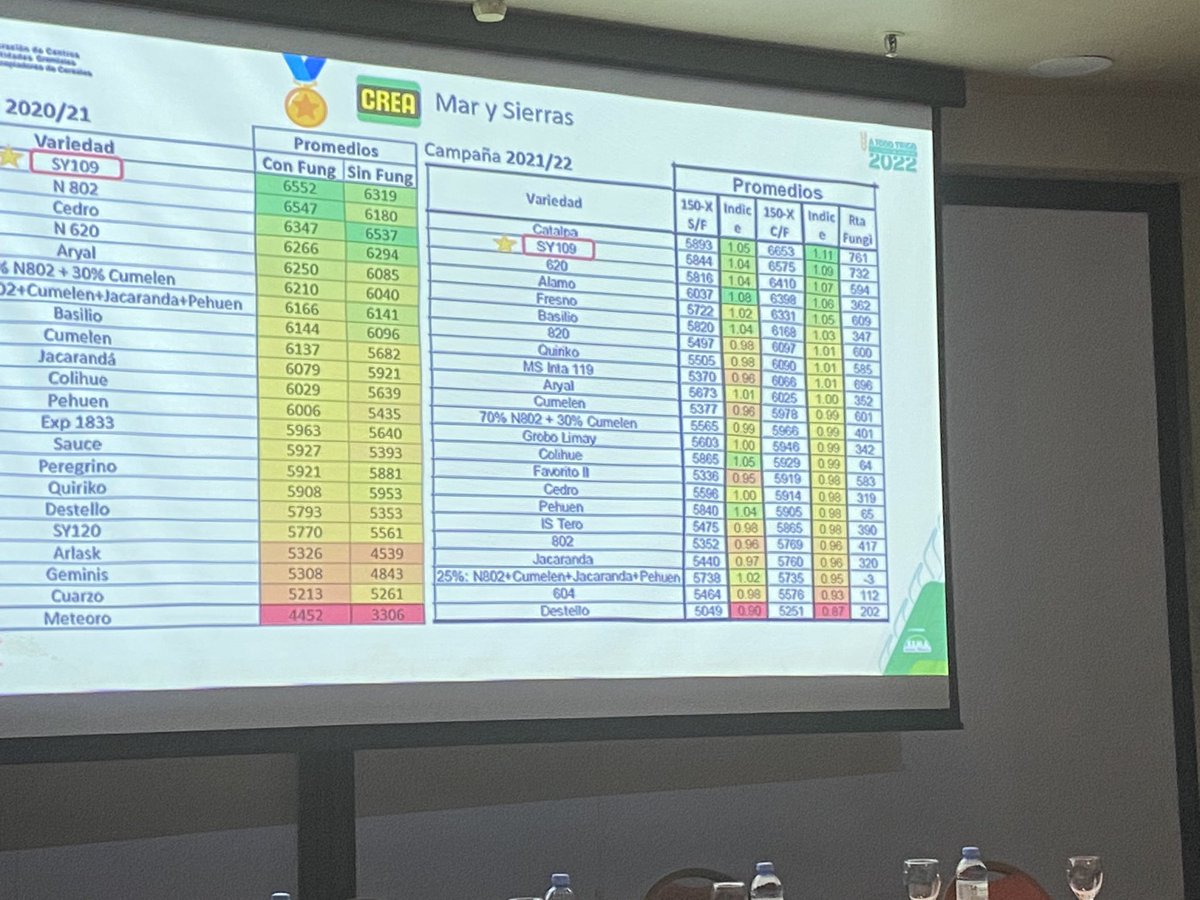 BuckSemillas's tweet photo. Nuestra breeder DIANA MARTINO (@dianamartino_) presentó variedades de trigo en el panel de SEMILLEROS II EN #ATODOTRIGO: #BUCKSY109, #BUCKFULGOR, #BUCKCOLIHUE #BUCKPACÍFICO 🙌 https://t.co/tpo8QKjJXG