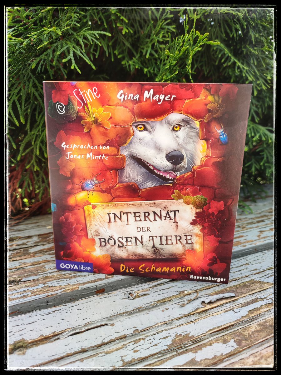 nichtohnebuch's tweet photo. Eine #Hörbuchreihe für Kinder die mir immer wieder gefällt. #internatderbösentieredieschamanin von #ginamayer Tolle Sprecherleistung und Spannung garantiert! @VerlagJumbo #hörbuchkinder
https://t.co/gJYts2Ih8h https://t.co/zjWaukqQOa