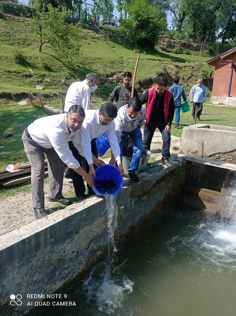 FISHERIES BUDGAM tweet media