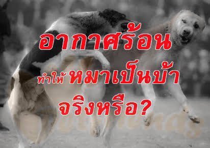 janbinofam's tweet photo. https://t.co/t4uiH2q6cU