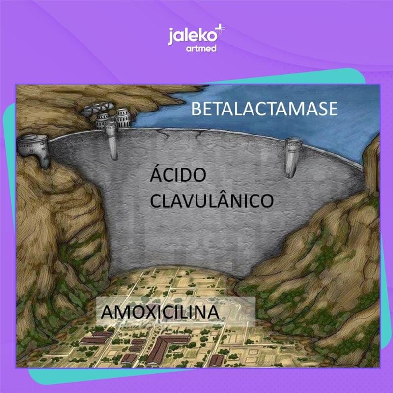 JalekoAcad's tweet photo. Você conhece outro esquema de antibiótico assim? Diz pra gente nos comentários! E marca o seu amigo que está sempre te protegendo como o clavulanato protege a amoxicilina.  🥲💜🫂

Não entendeu? Pergunte.😉

#meme #mememedico https://t.co/bmtJVu5Ngf