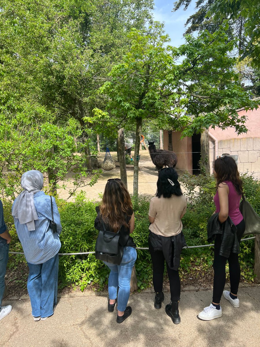 ZiriLea's tweet photo. [#ArretSurImage] Retour sur deux manifestations à destination des étudiants organisées par les services de la DRIET cette semaine : sortie au Zoo de @mulhouse pour des étudiants #Erasmus+ et cérémonie de remise de prix du concours d'affiche @EpicurAlliance. 🙏👏🥳 https://t.co/ekaPBoolG4