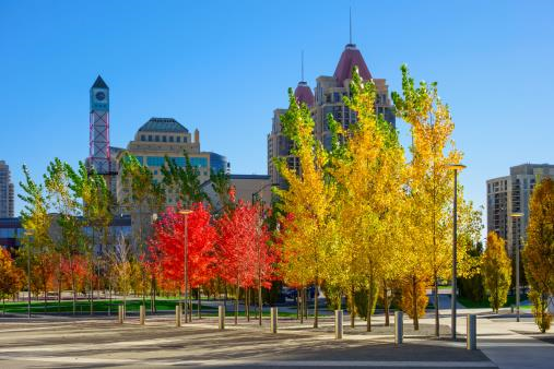 gibi_john_ca's tweet photo. Mississauga Goes Green as the First Canadian City to Receive Prestigious ISO 50001 Certification for Energy Management https://t.co/qFYCzFLXwO