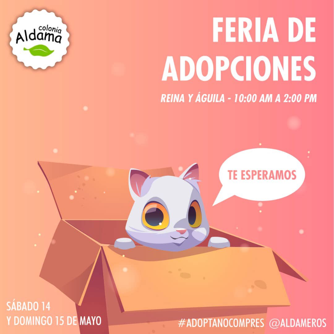 Colonia Aldama tweet media