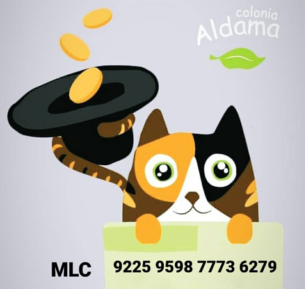 Colonia Aldama tweet media