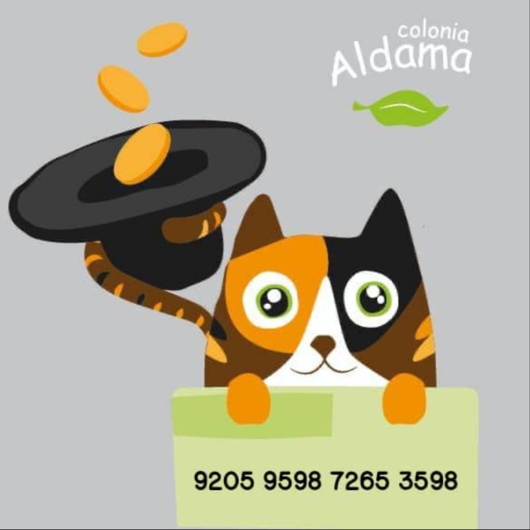 Colonia Aldama tweet media