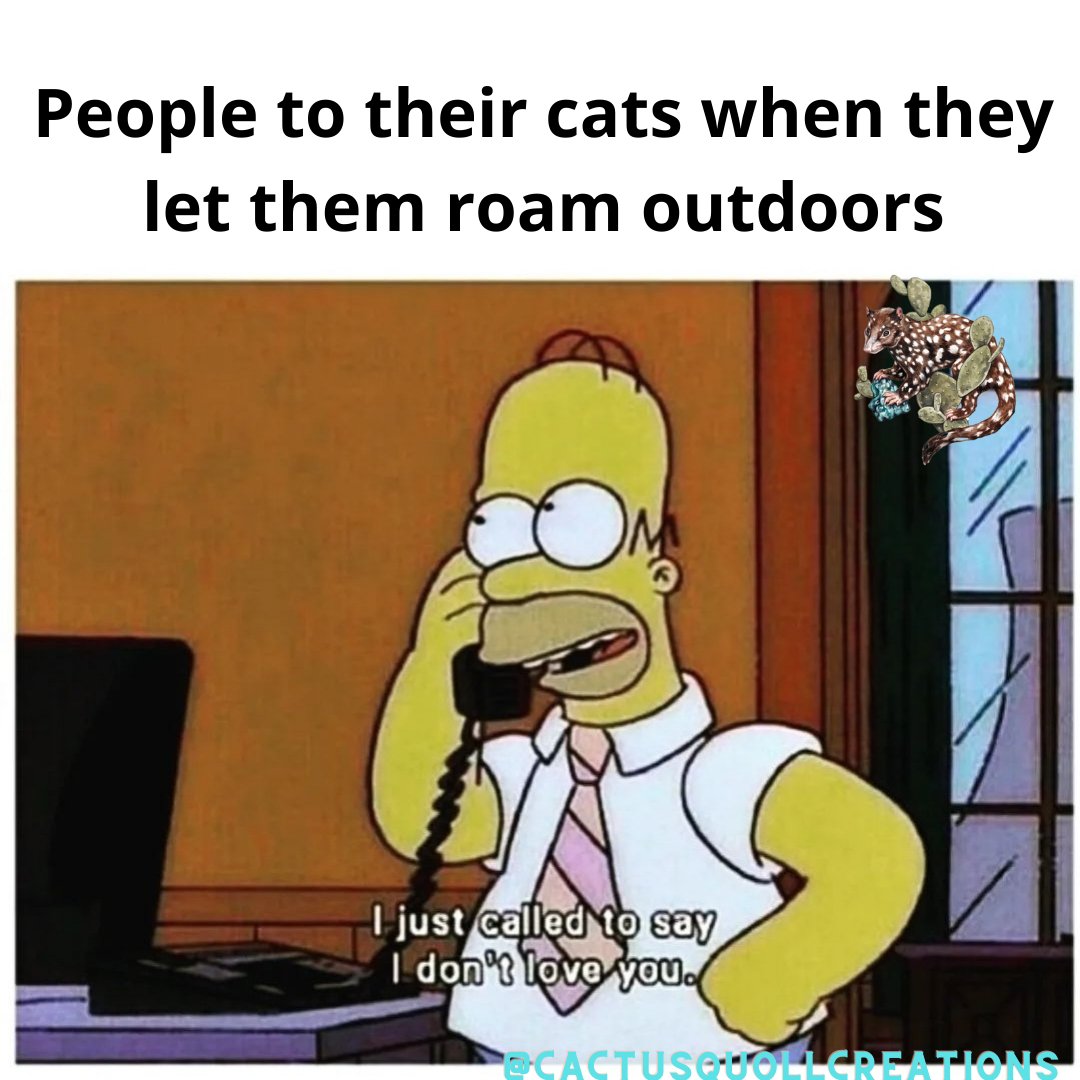 cactusquoll's tweet image. Letting your cats roam outdoors exposes them to a whole range of risks including disease, vehicle collisions, predation by wildlife, and more. Not to mention the damage they do.