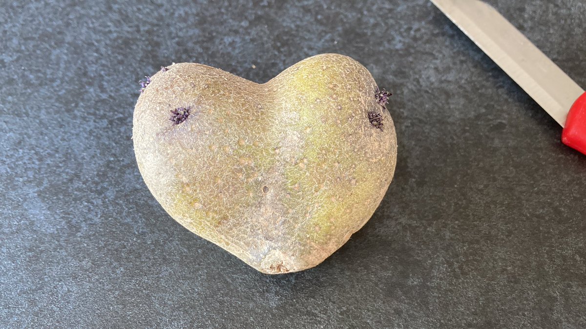 Maud, ik zie ze ook! #hartjes #Maud #bzv ❤️