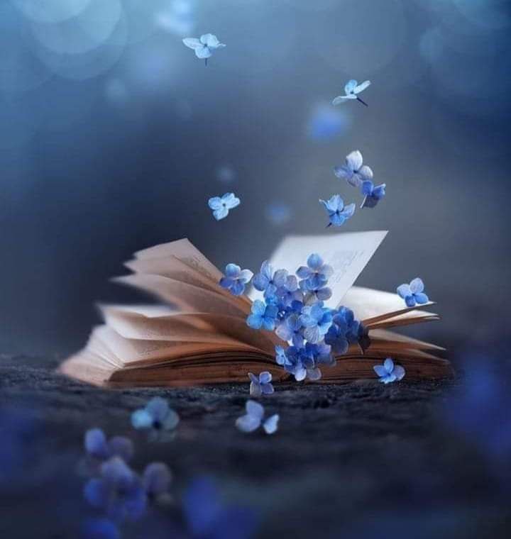 في النهايـة .. لن يبقى معك إلا من رأى الجمال في روحك ..
أما المنبهرون بالظاهر، فيرحلون تباعـاً .. 💓👌