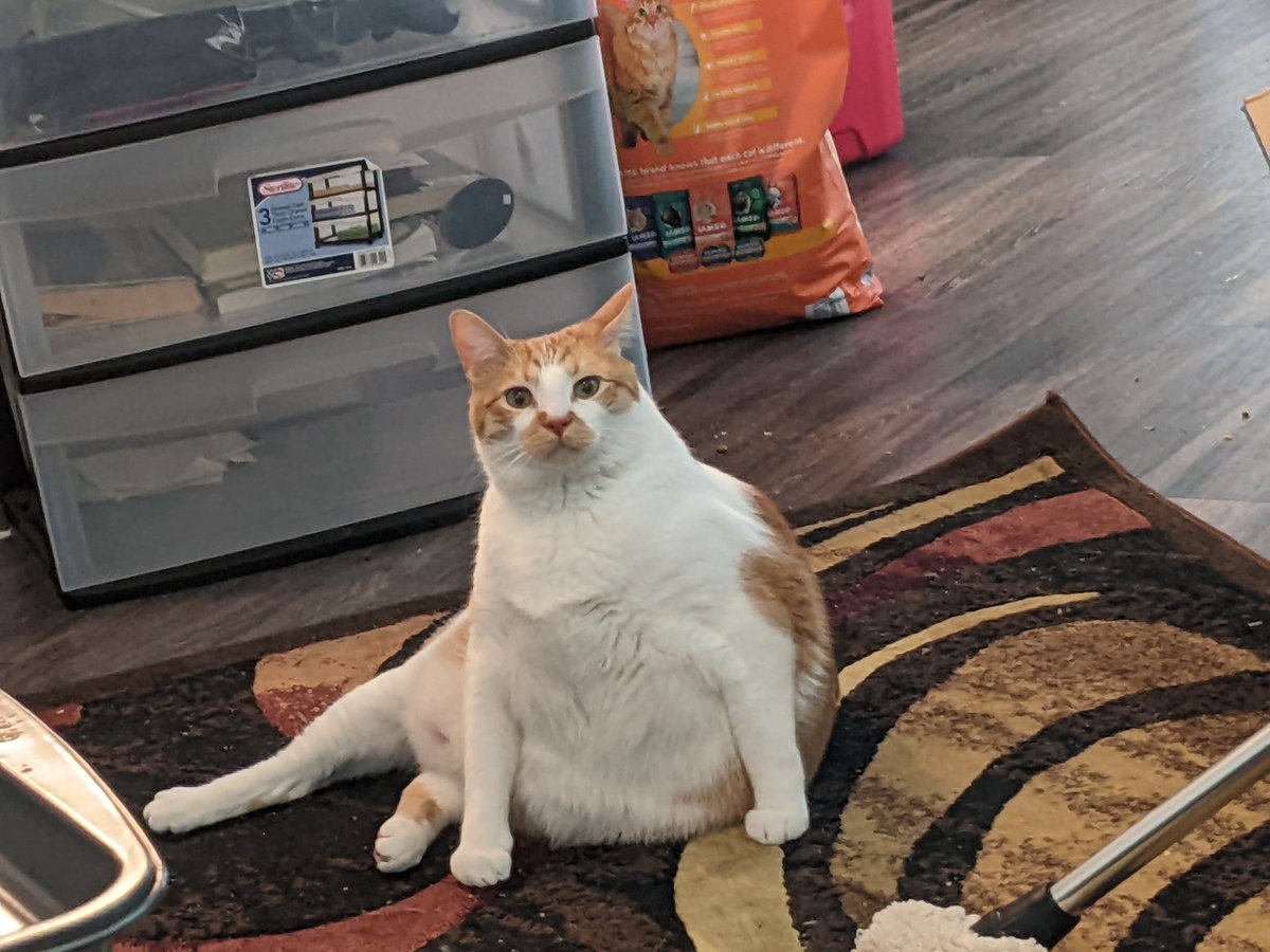RickyBabyB0y's tweet photo. What're you taking a picture of I'm sitting normal style? https://t.co/PsEDNzov4b