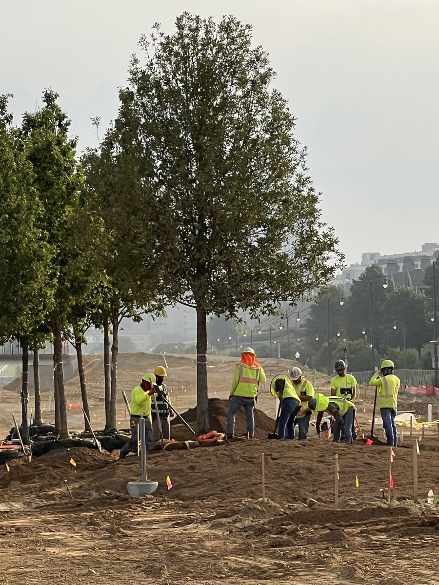 First tree planted in the new Tom Lee Park @MEMRiverParks <a href="/ValeroEnergy/">Valero</a>⁩ ⁦<a href="/scape_studio/">SCAPE</a>⁩ ⁦<a href="/studiogang/">Studio Gang</a>⁩ ⁦⁦<a href="/mmcbuilds/">Montgomery Martin</a>⁩