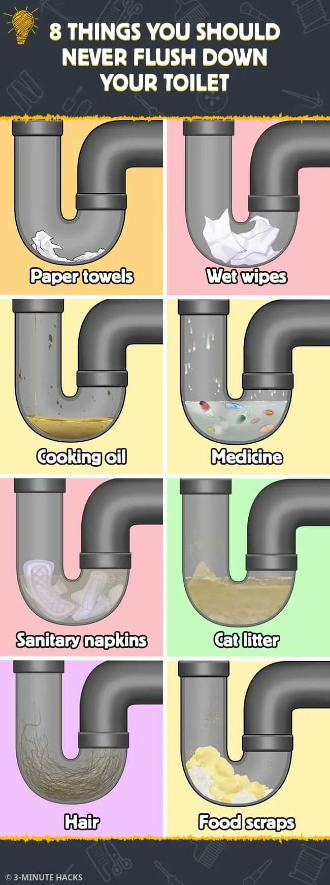 Daily Infographic on Twitter "8 Things You Should Never, Ever Flush