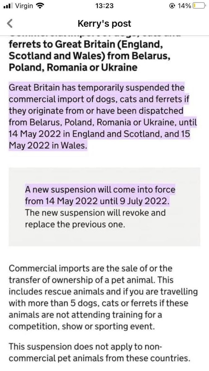 EmsWorldBlog's tweet image. Thanks to the UK Government, I have to wait even longer for my doggo, and she has to wait even longer for her home 😭