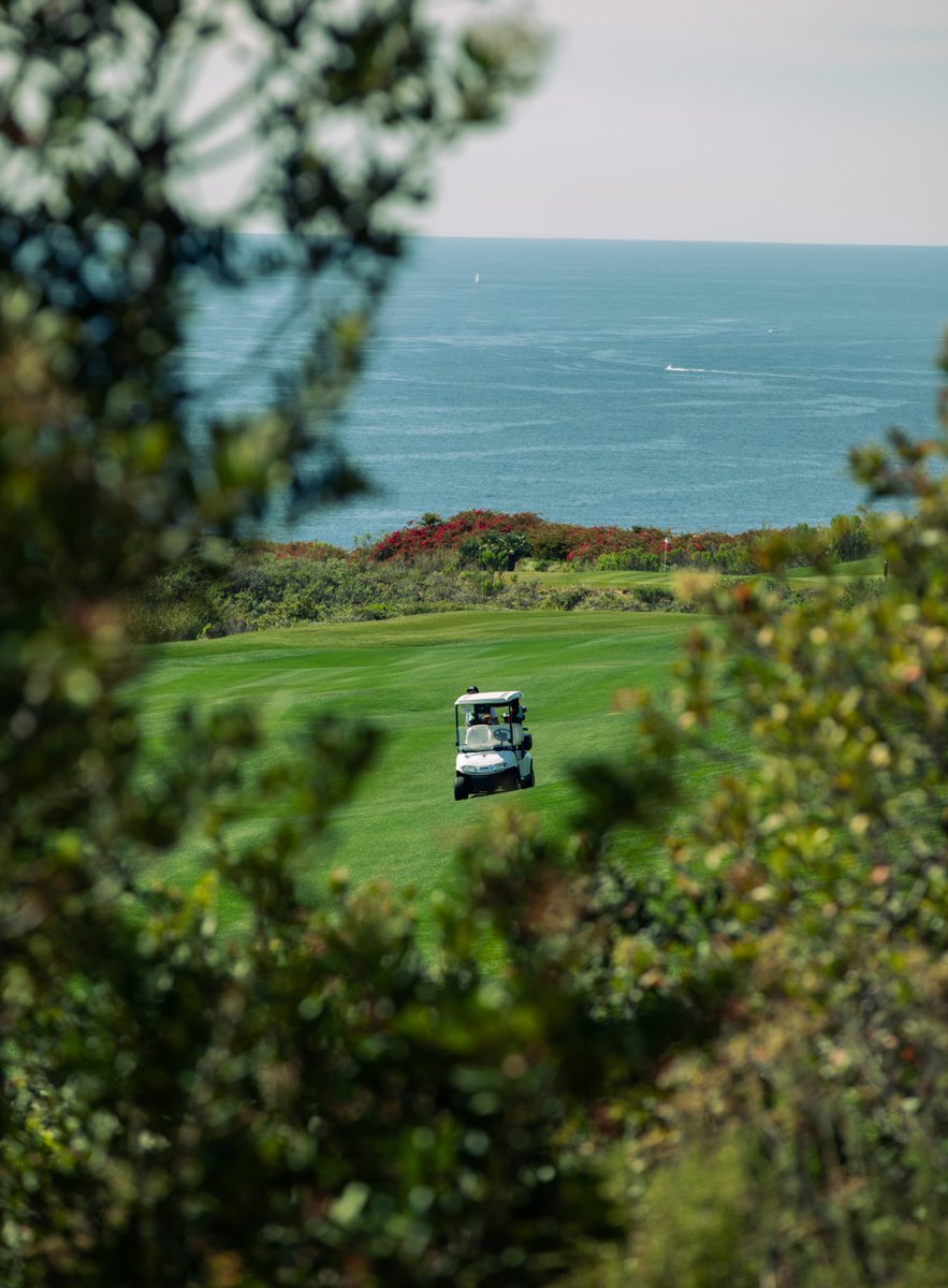 TrumpGolfLA's tweet photo. A snapshot of beauty and serenity while playing Trump LA. Book your weekend tee time to enjoy views like this!
#trumpgolf #trumpla #teetime #oceanfrontcourse #golf https://t.co/lPo2nKUu80