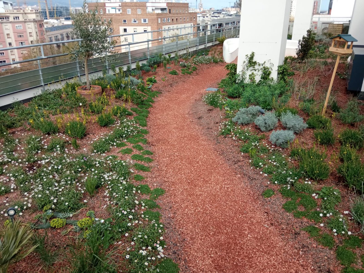 bcn_hg's tweet photo. Una desena d'activitats a #Horta-Guinardó per la segona edició de 'Les 48 hores d’agricultura i verd urbà'. Coneix els horts urbans, cobertes verdes i altres espais verds. https://t.co/iBON4N4FPg https://t.co/QgEx2vYUjC