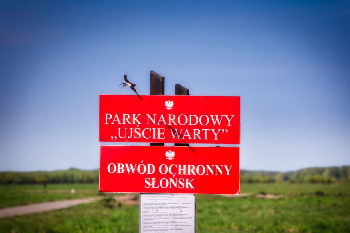 fredykoglin's tweet photo. „Ungeduld ist ein Hemd aus Brennnesseln.“

Aus Polen

https://t.co/tSmXceJeSc

#Poland #Eichwalde #Germany #攝影⁩ ⁧#عکاسی⁩ ⁦#фотография⁩ ⁦#Fotoğrafçılık⁩ ⁦#Consequat⁩ ⁦#写真術⁩ ⁧#تصوير⁩ ⁧#צילום⁩ ⁦⁩ #Love #Photography #Fotografie https://t.co/Dxt6LdbRVH