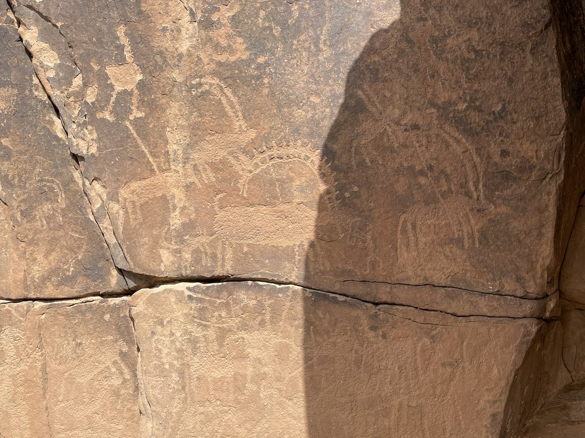 StewieStewart13's tweet photo. Great to be back in Saudi after three long years. Taking this #fieldworkfriday off digging to check out some of the incredible rock art at Jabal Umm Sinman. https://t.co/Qq1jmSaIXT