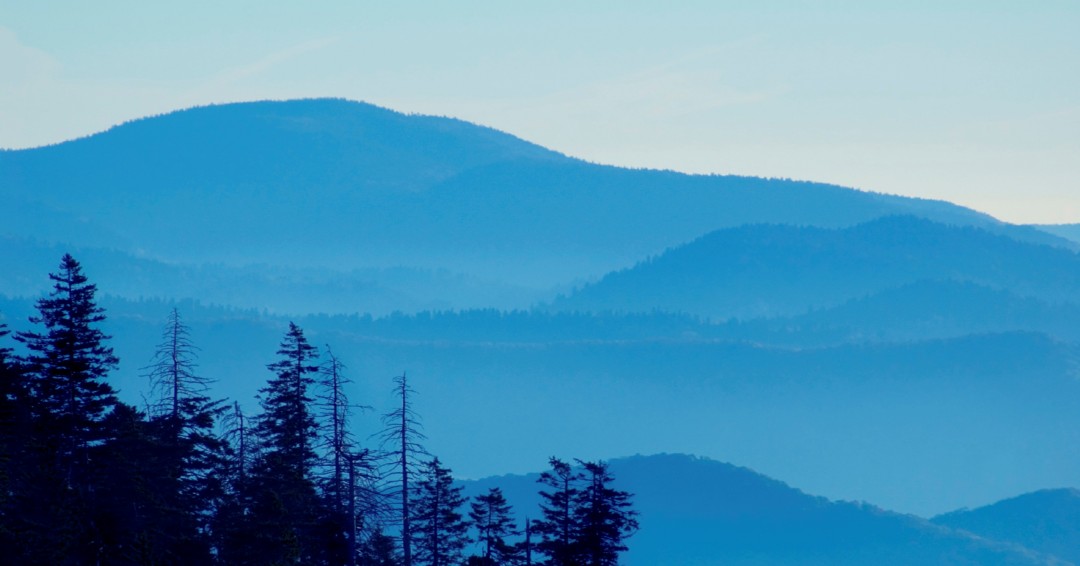 As we close out #EconDevWeek22, we want to give the biggest of thanks to our investors and those who continue to support economic development in #CentralVA. bit.ly/3lehYi9