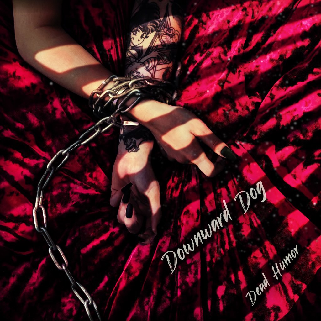 💀DEAD HUMOR🤣 tweet media