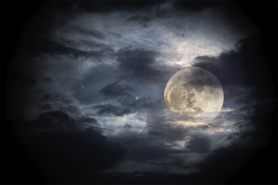 BrowardParks's tweet photo. Once in a blue moon... this month's blue moon is even rarer... It's a SUPER blue moon! Check out the big blue moon over #LongKey, Wed, Aug 30 at 8 p.m. $5/person. Call the park at 954-357-8797 to reserve your spot. https://t.co/xd8COqyXdW