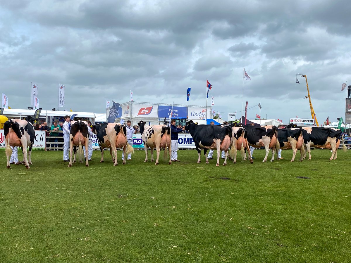 Holstein UK tweet media