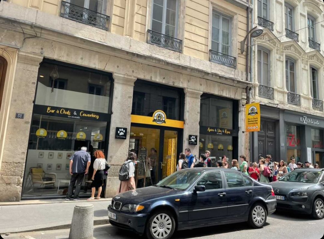Badalssim's tweet photo. La queue devant ce "bar à chat x coworking" repéré par @nicolasnova qui propose des planches, du veggie et des bowls est un bon résumé des trentenaires dynamiques ou esseulés en télétravail #CommercePop cc @jlcassely https://t.co/QlFphtlVWd