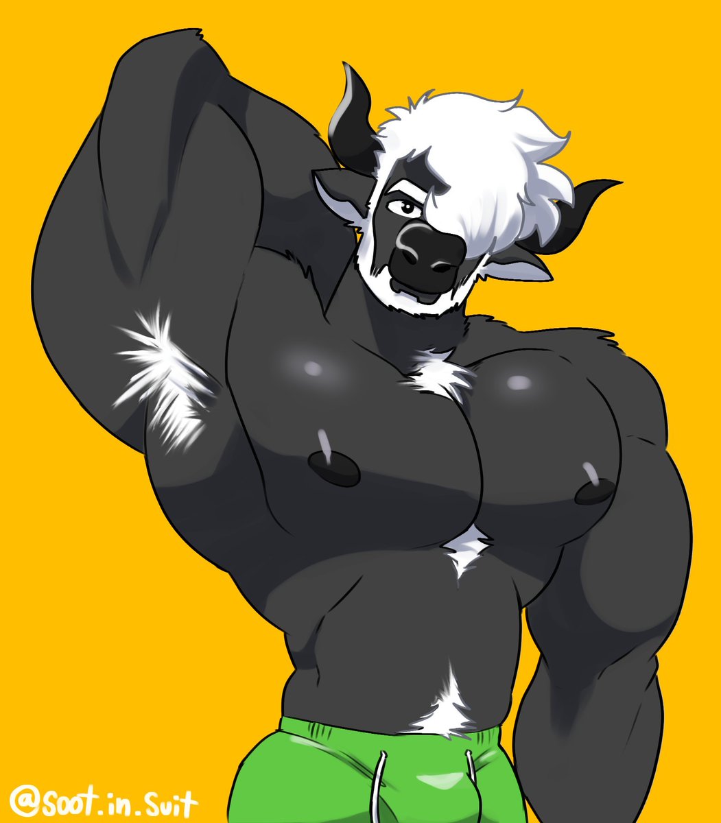 Don is your Dom tweet media