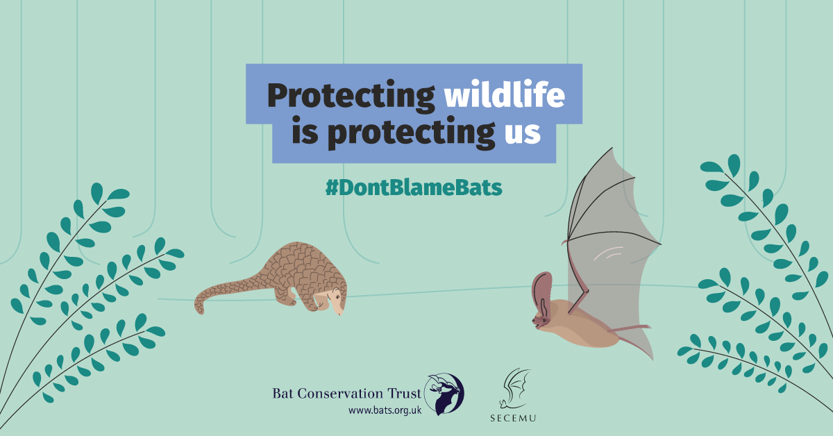 Tyson Lee Holmes 🇬🇮🦇🪶 tweet media