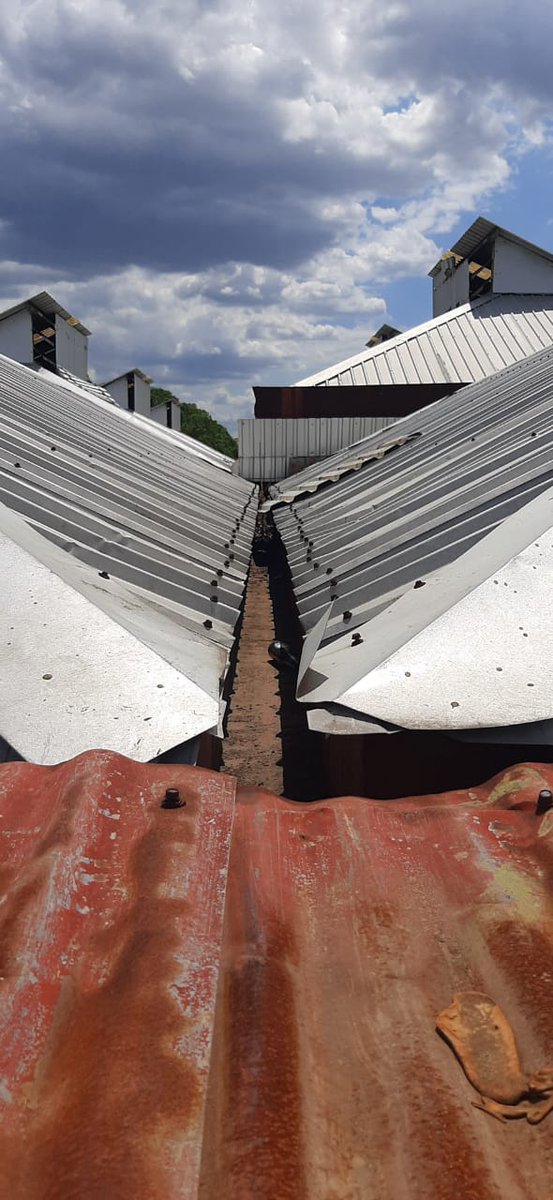 alma_commema's tweet photo. Como parte del Plan invierno que venimos ejecutando en los #MercadosMunicipales esta semana realizamos trabajos de mantenimiento y limpieza de canales pluviales en losa de concreto de la Nave Central del #MercadoIvanMontenegro
#COMMEMA #Managua https://t.co/Pmbc24Nte8